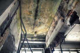 South Fulton, GA Mold Inspection Company